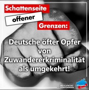 Zuwandererkriminalität_n