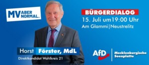 Bürgerdialog Neustrelitz 15. Juli 2021_n